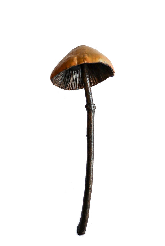 SOLD clay and wood mushroom sculpture 18 by Emma Lee Fleury