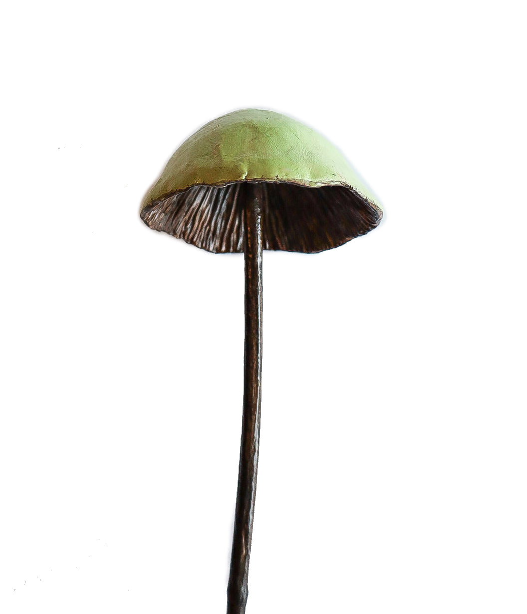 SOLD clay and wood mushroom sculpture 19 by Emma Lee Fleury