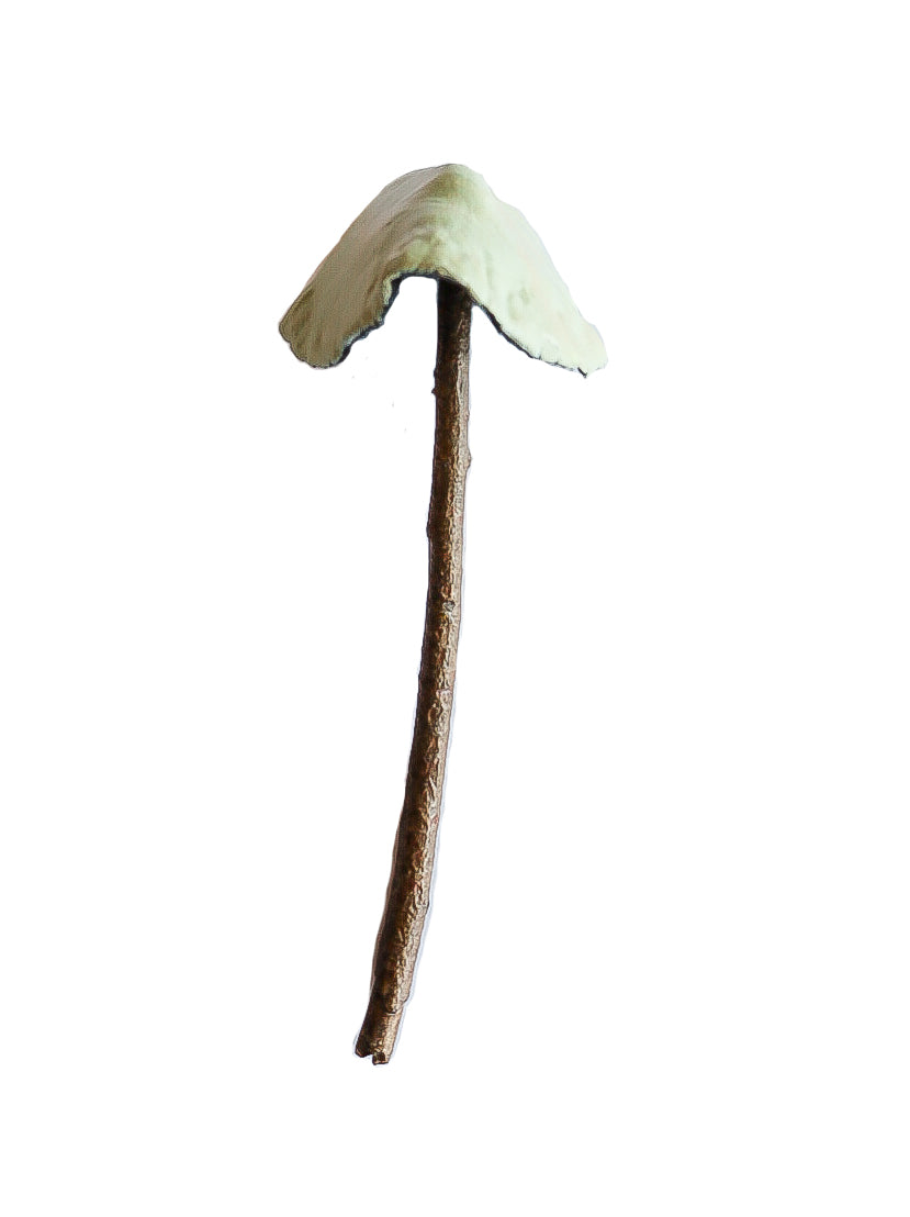 SOLD clay and wood mushroom sculpture 20 by Emma Lee Fleury
