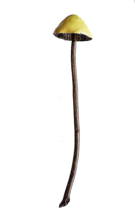 SOLD clay and wood mushroom sculpture 21 by Emma Lee Fleury