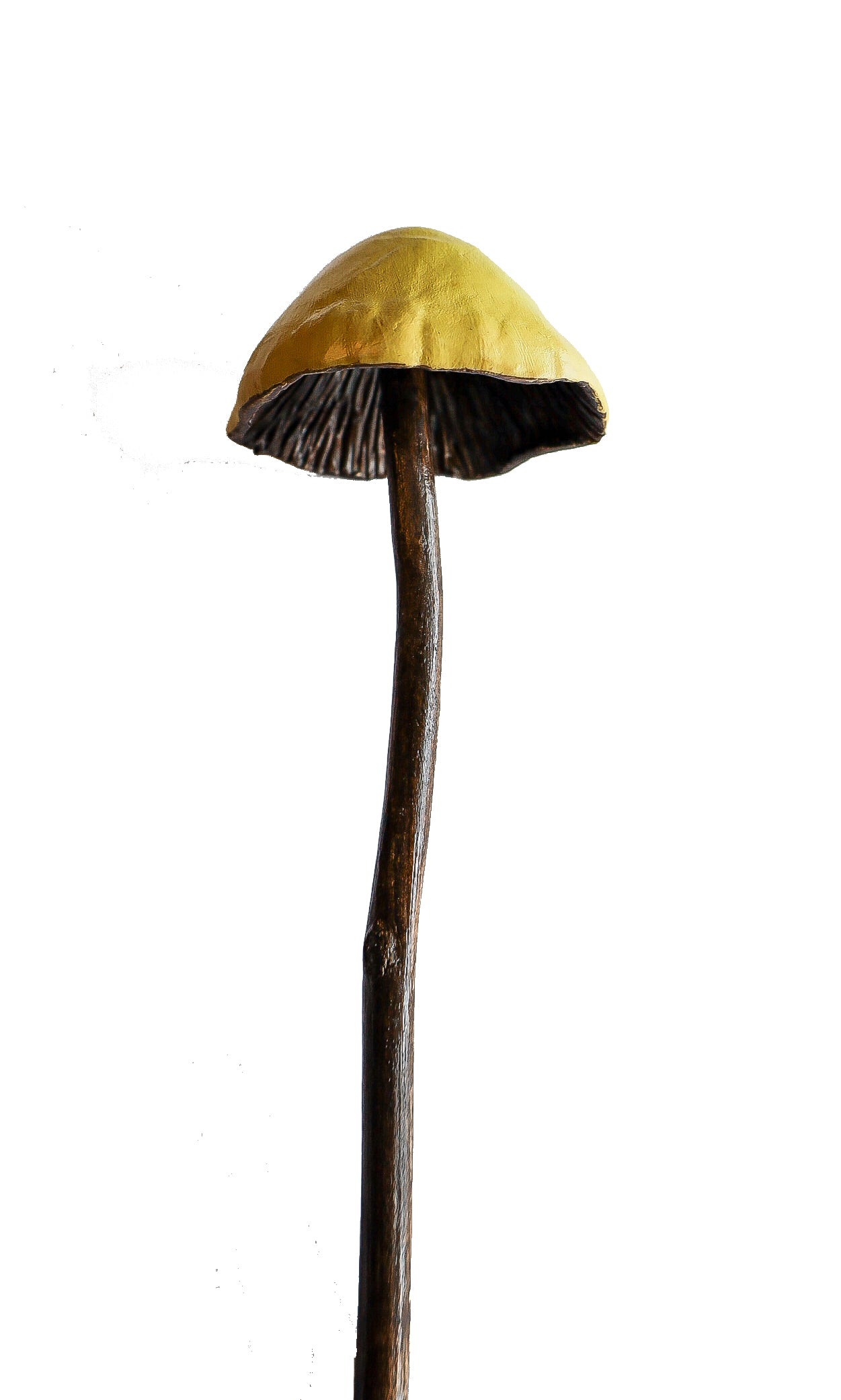 SOLD clay and wood mushroom sculpture 21 by Emma Lee Fleury
