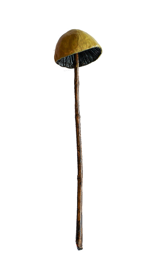 SOLD clay and wood mushroom sculpture 22 by Emma Lee Fleury