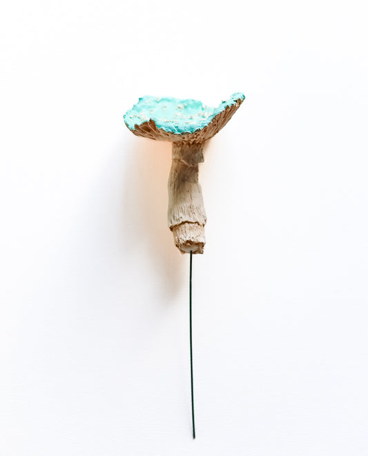 fungi 01 - handmade clay mushroom