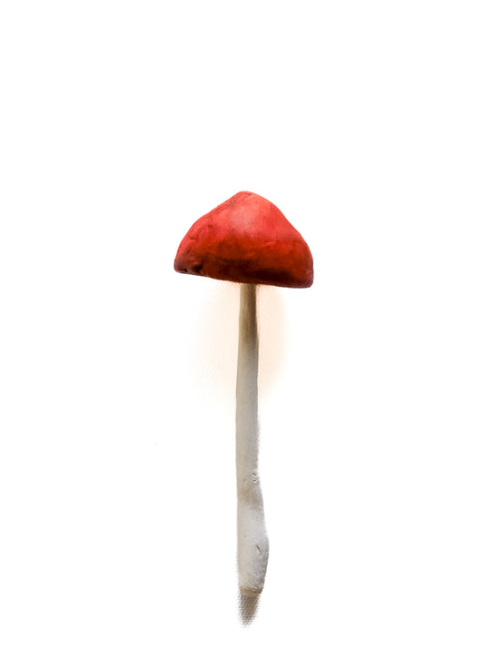 SOLD fungi 029 - handmade clay mushroom