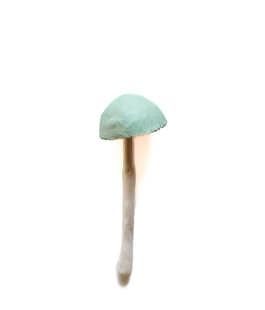 SOLD fungi 028 - handmade clay mushroom