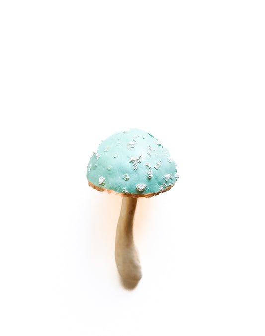 SOLD fungi 034 - handmade clay mushroom