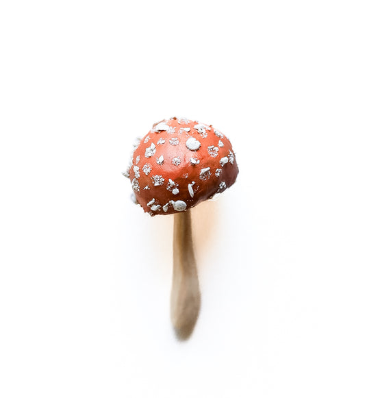 SOLD fungi 038 - handmade clay mushroom