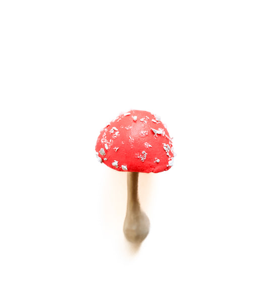SOLD fungi 039 - handmade clay mushroom