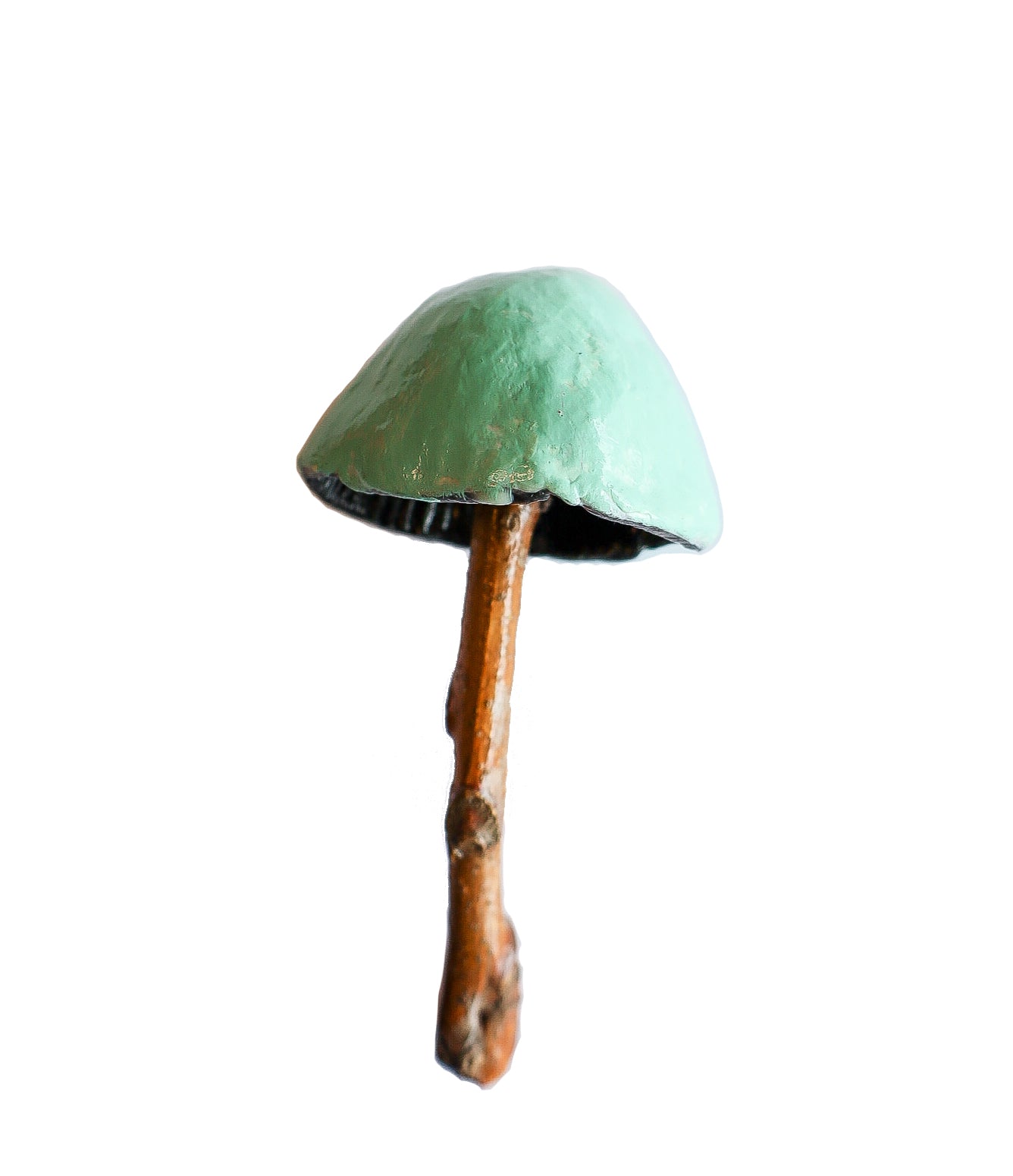 clay and wood mushroom sculpture 9 by Emma Lee Fleury