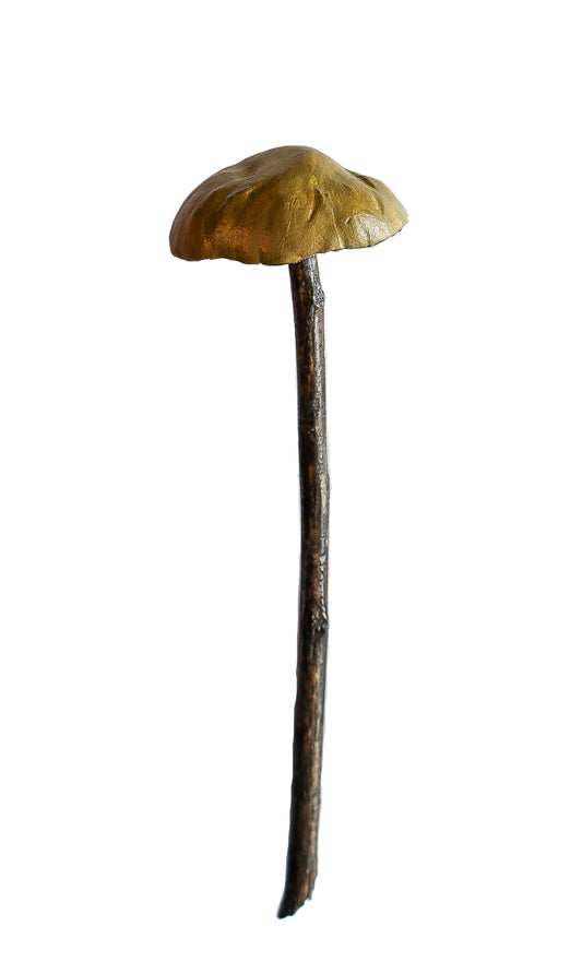 clay and wood mushroom sculpture 14 by Emma Lee Fleury