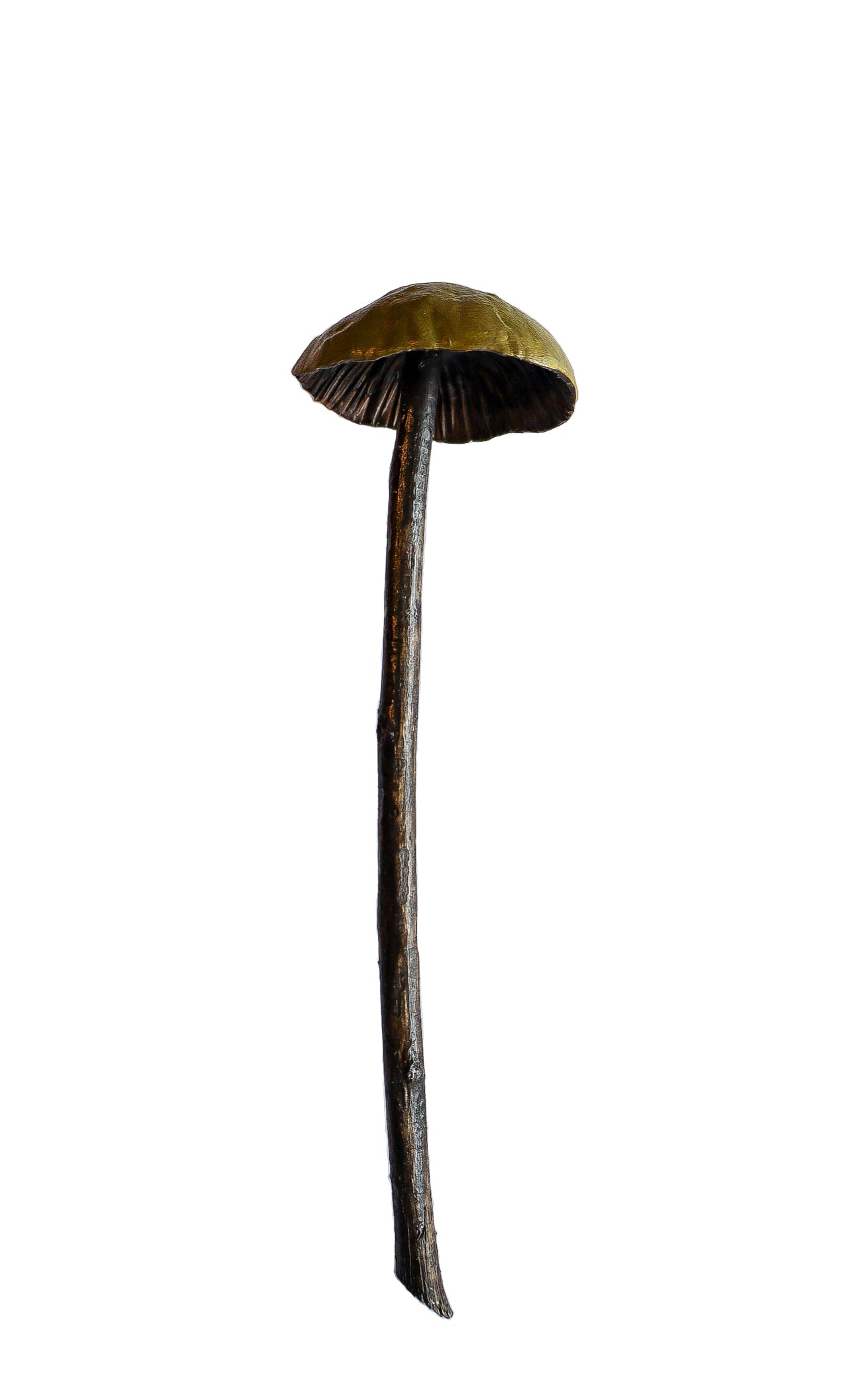 clay and wood mushroom sculpture 14 by Emma Lee Fleury