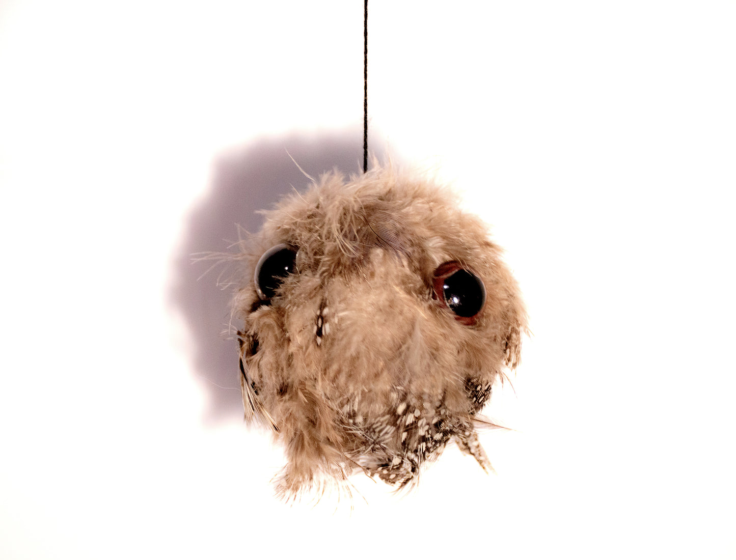 gremlin 15 hanging creature decor by Emma Lee Fleury