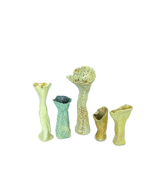 bundle of 5 clay sculptures "lichens" by Emma Lee Fleury (limited edition)