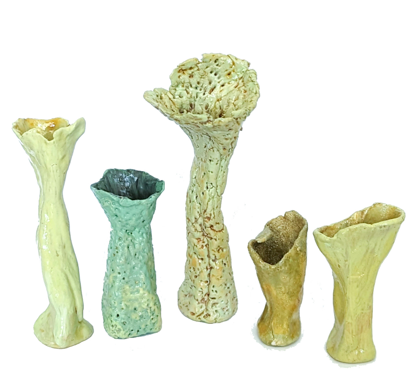 bundle of 5 clay sculptures "lichens" by Emma Lee Fleury (limited edition)